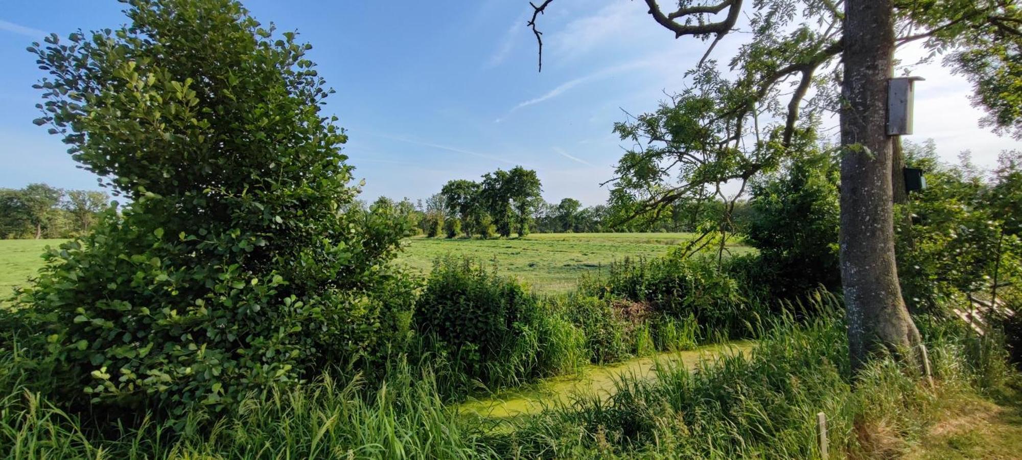 Chalet In Het Groen Met Airco Drachtstercompagnie Kültér fotó