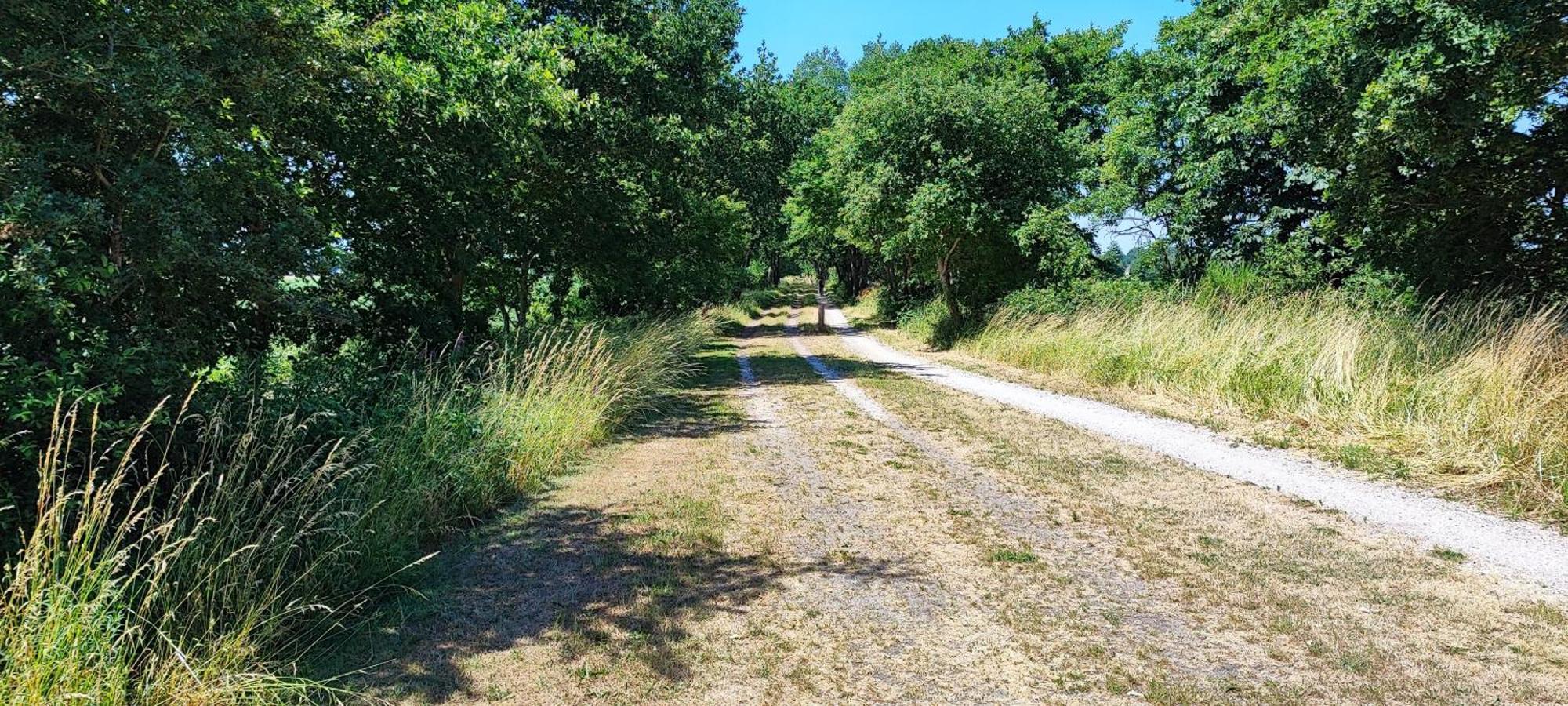 Chalet In Het Groen Met Airco Drachtstercompagnie Kültér fotó